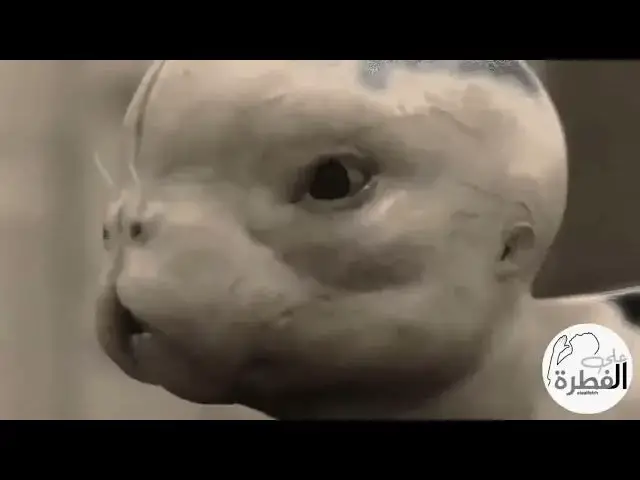 Video thumbnail for سيطرة الكائنات الفضائية والرماديين في جوف الأرض على البشر   هل يمكن ذلك ؟