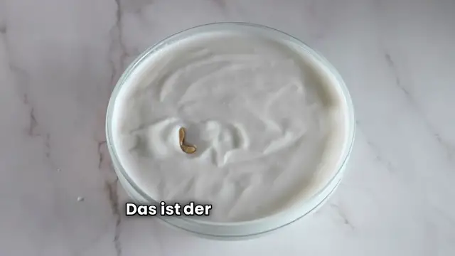 'Video thumbnail for Gefüllte Ochsenherztomaten mit Tomaten-Joghurt-Dip'