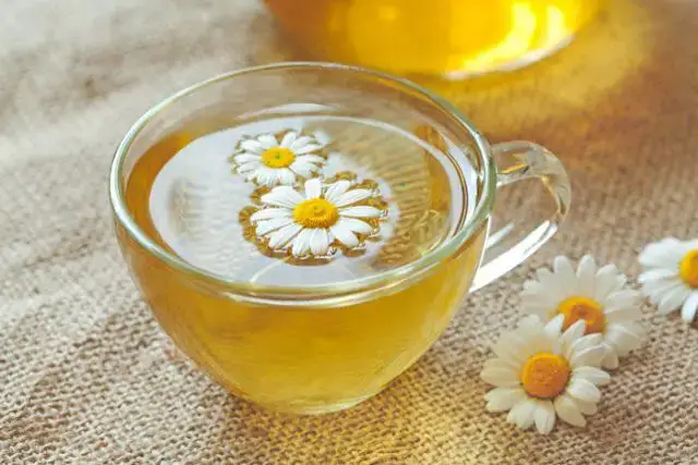 'Video thumbnail for Chmomila: Italian Chamomile Bliss'