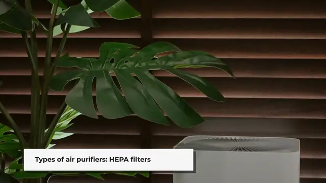 'Video thumbnail for Filtering Facts: What You Need to Know Before Buying an Air Purifier'