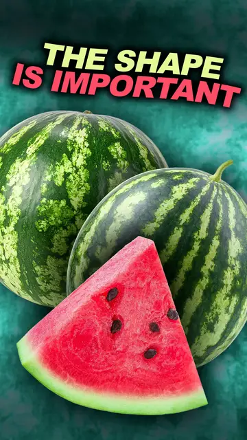 Video thumbnail for What A Watermelon's Shape Reveals About Its Taste & Texture