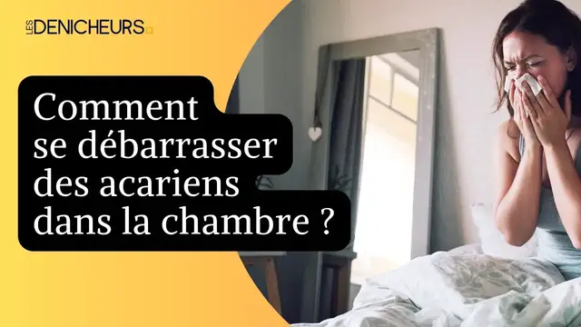 Video thumbnail for 🛏️ 🤧 Acariens dans la chambre : comment s’en débarrasser ? 🧽