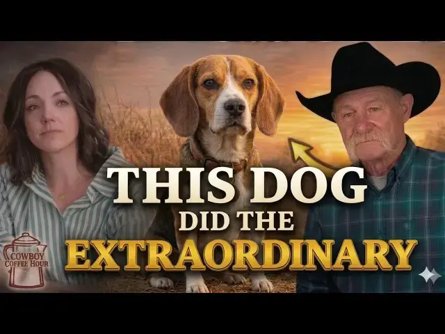 Video thumbnail for This Beagle Did Something Extraordinary and OtherGood Camp Dogs Stories