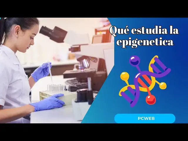 Video thumbnail for Qué estudia la epigenetica: el código que moldea nuestra salud más allá del ADN