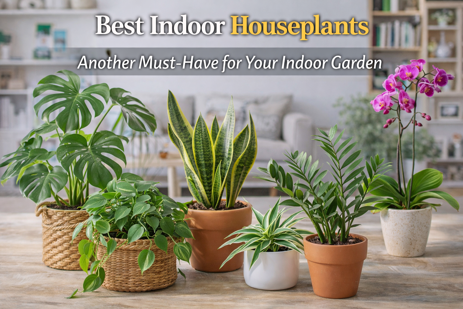 Video thumbnail for Best Indoor Houseplants | Another Must-Have for Your Indoor Garden