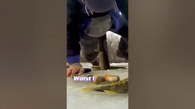 Video thumbnail for Sometimes fish suck