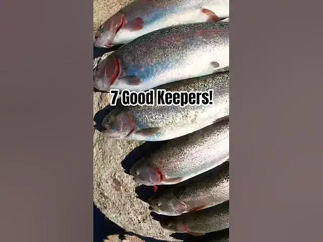 Video thumbnail for Solid Finish to Our Fishing Day