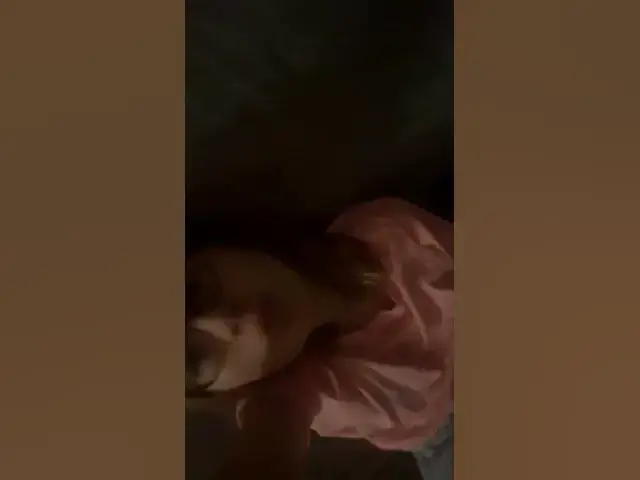 Video thumbnail for 23 augustus 2024