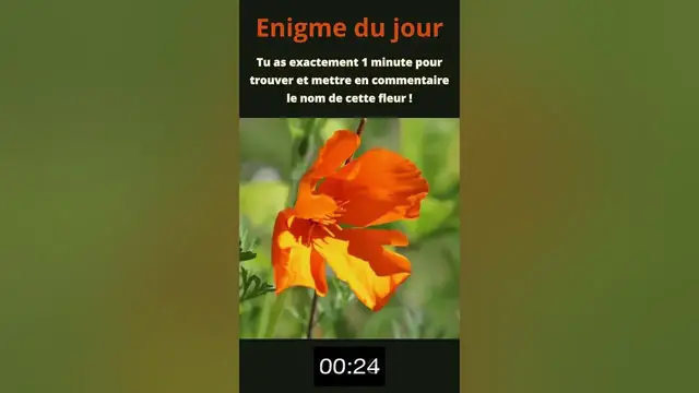 'Video thumbnail for Enigme du jour'
