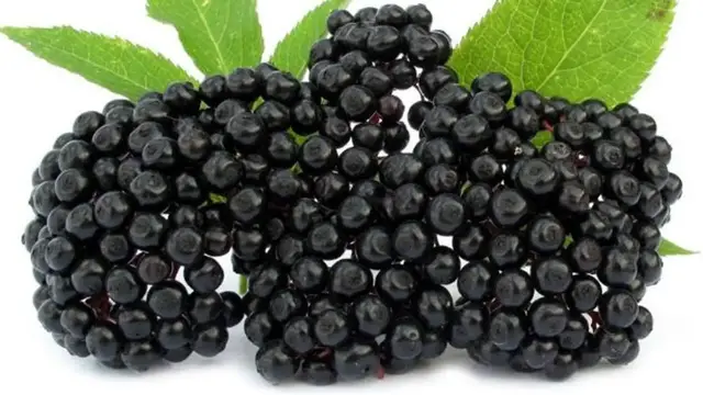 Video thumbnail for The Most Dangerous Fruits In The World