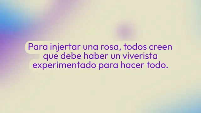 Video thumbnail for Cómo injertar una rosa en otra variedad: finalmente reveló el truco