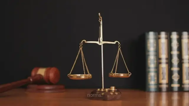 Video thumbnail for Laws, Rules & Norms - www.e-lawresources.co.uk