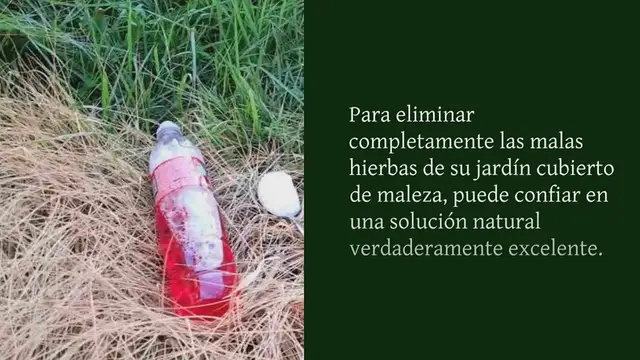 Video thumbnail for Jardín sin cultivar, solo con este ingrediente eliminar todas las malezas y arbustos