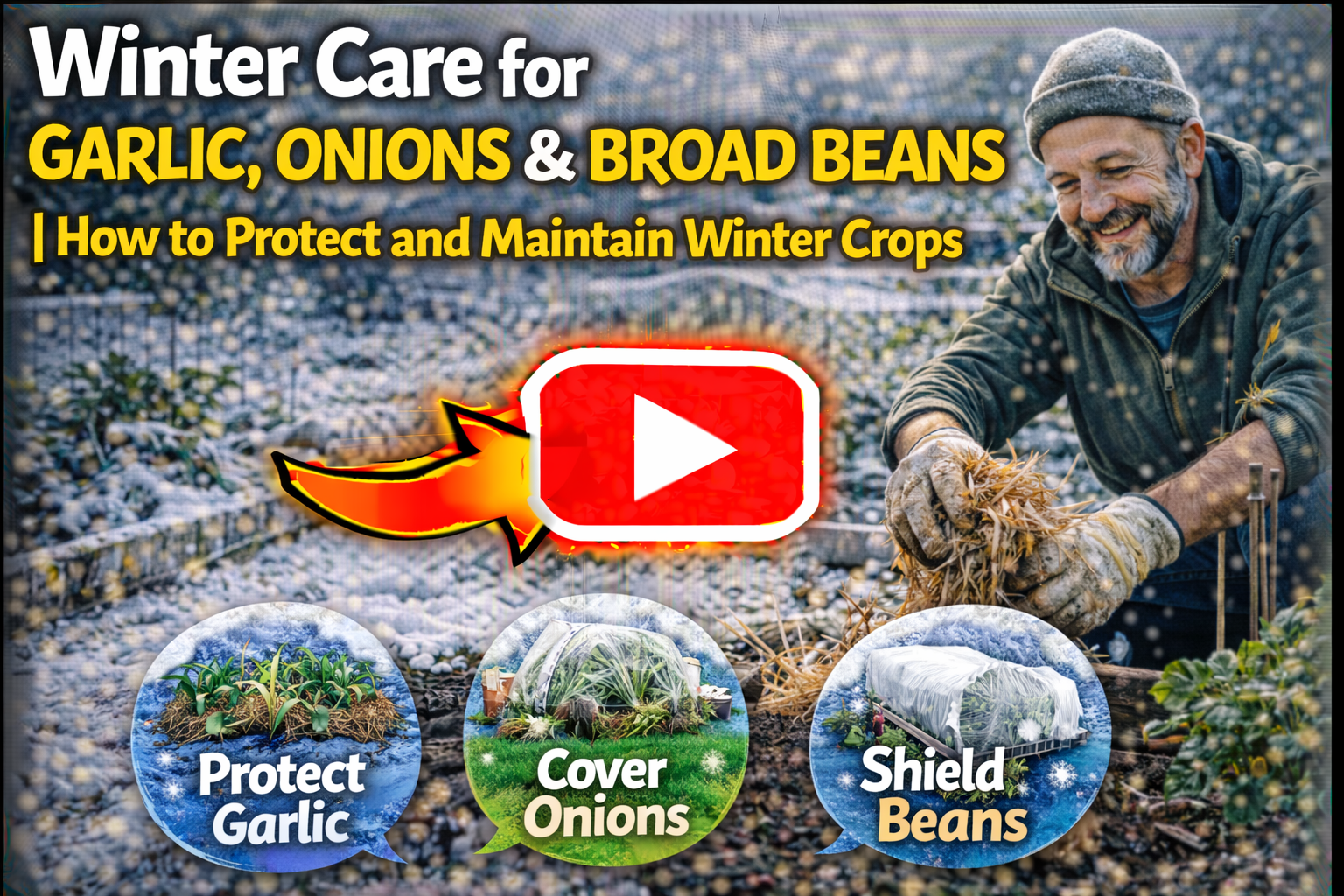 Video thumbnail for Winter Care for Garlic, Onions & Broad Beans | How to Protect and Maintain Winter Crops