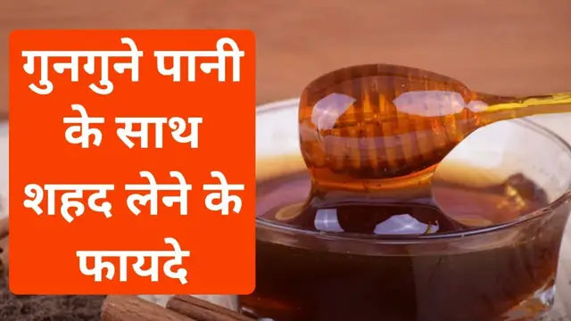 'Video thumbnail for गुनगुने पानी के साथ शहद लेने के फायदे | शहद को पानी में मिलाकर पीने से क्या होता है? | शहर के फायदे'