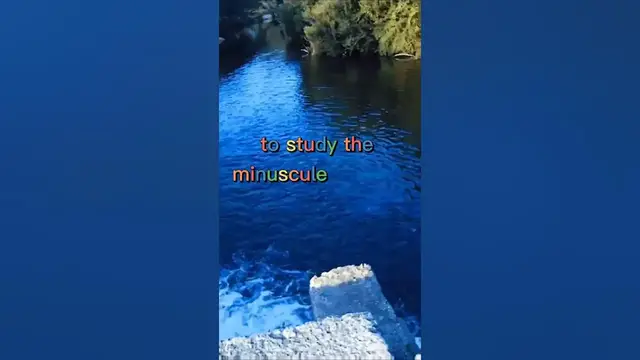 Video thumbnail for Fishing Joke 60 #jokes #fishingjokes #humor #joke