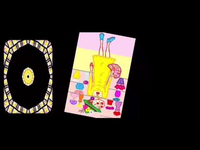 Video thumbnail for Elegant Lady in the vase and flower shop by Splendidias Art