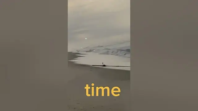 Video thumbnail for *rod as left the chat*