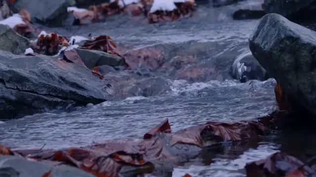 Video thumbnail for Meditation Deep Sleep Music | Meditation Relax Music | Relaxing Music Sleep | Relax Mind