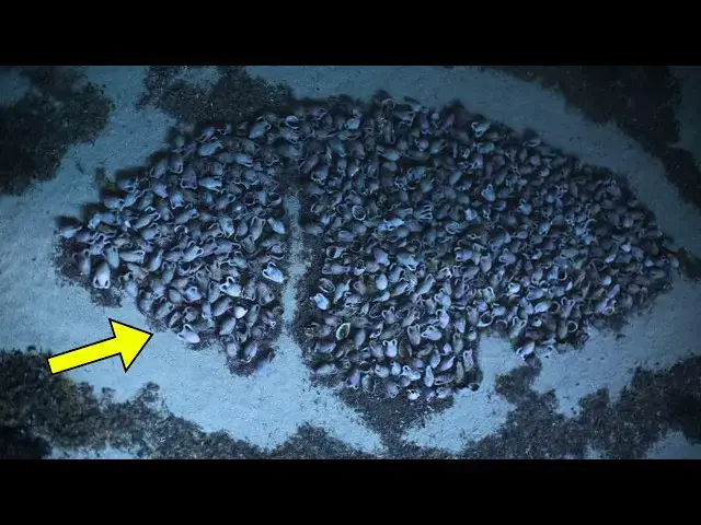 Video thumbnail for Coast Guard Sonar Picked Up Something on the Seafloor — Then Divers Went Down