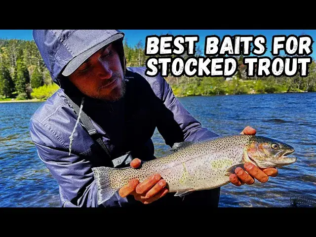 Video thumbnail for Best Baits for Stocked Trout Fishing | Lake Gregory