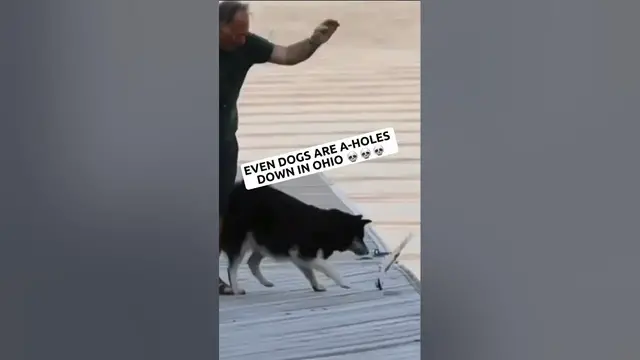 Video thumbnail for Swag Like Ohio Meme 38 #swaglikeohio #ohio #memes