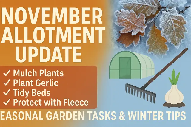 'Video thumbnail for ✅ November Allotment Update | Essential Seasonal Garden Tasks & Winter Tips'