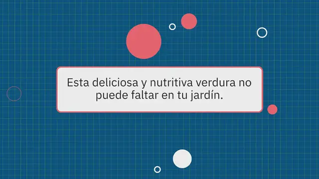 Video thumbnail for Cultivo de calabacines: ¿cuándo y cómo plantar calabacines en tu jardín?