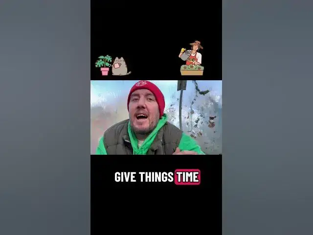 'Video thumbnail for 🎥 ✅ Every Seed Starts Small 🌱 | Be Patient — Your Hard Work Will Bloom in Time 🌸✨'