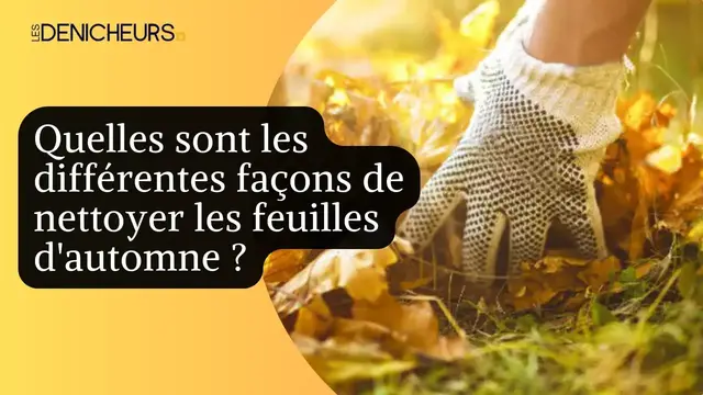 Video thumbnail for 🍂​🍁​ Quelles sont les différentes façons de nettoyer les feuilles d'automne ? 💥​