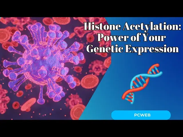 Video thumbnail for Histone Acetylation: Unlocking the Power of Your Genetic Expression