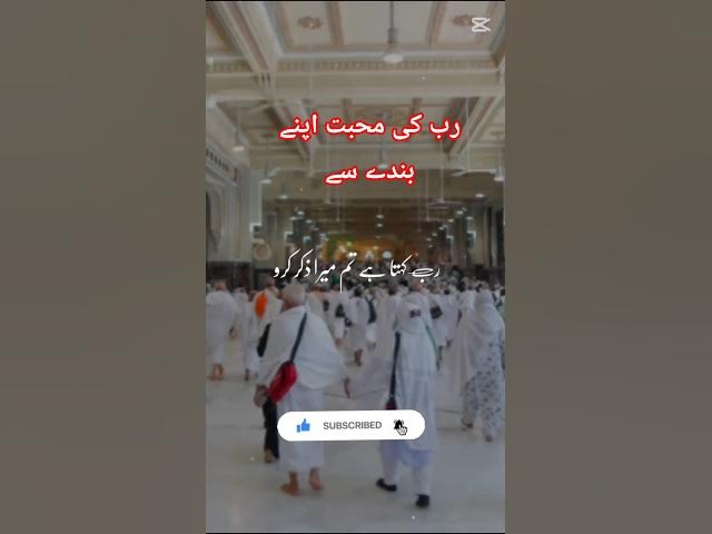 Video thumbnail for رب کی محبت اپنے بندے سے #islamicmotivation #unfrezzmyaccount #islamicshorts #history#urdu #duet