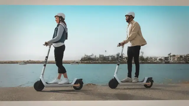 'Video thumbnail for Bird having its wings clipped: From fastest company to achieve $1B valuation to facing bankruptcy — TFN'