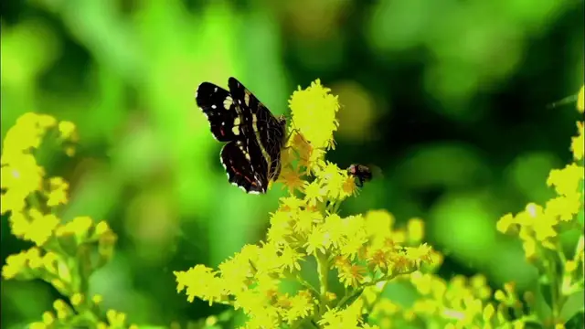 Video thumbnail for هل نحب الله؟  إستمع!!