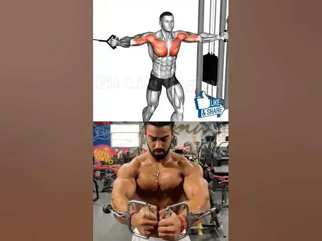 Video thumbnail for Top 5 Chest Exercises for Massive Gains in 2024: Build Bigger, Stronger Chest.