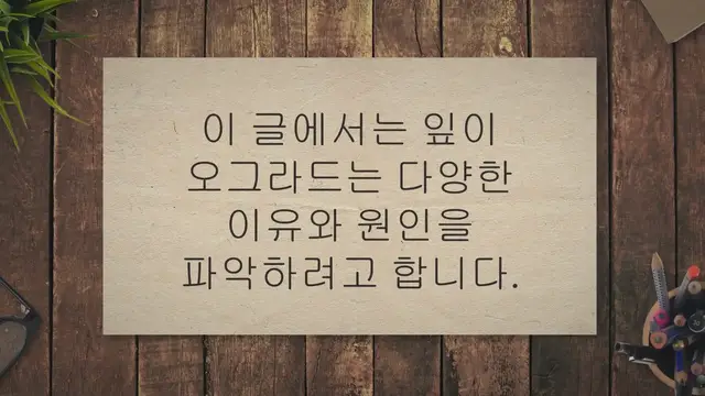 'Video thumbnail for 잎이 오그라드는 이유 8가지와 해결 방법'