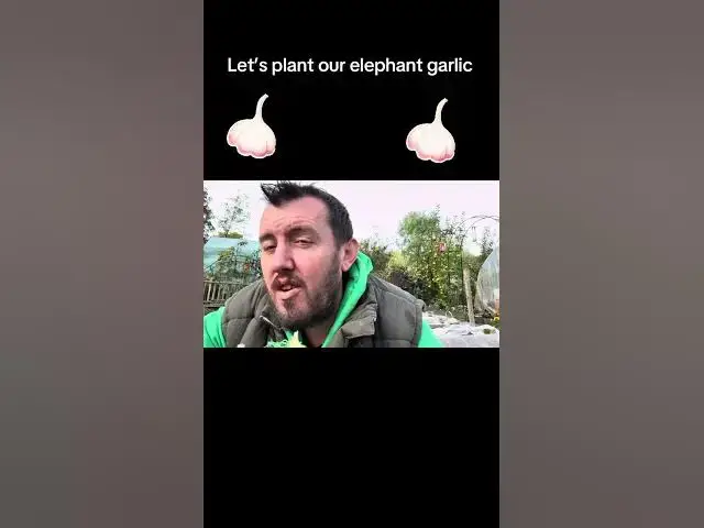 'Video thumbnail for How to Plant Elephant Garlic 🧄🌱 | Easy Autumn Guide for Giant Bulbs & Massive Harvests! 🍂✨'
