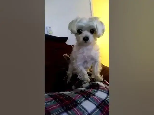 Video thumbnail for March 15, 2020