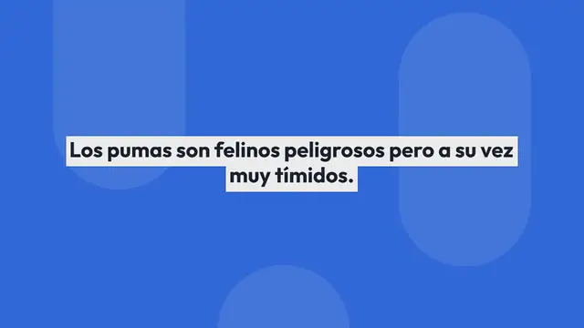 Video thumbnail for Imagenes de pumas para colorear