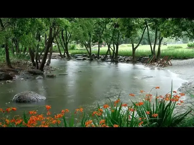 'Video thumbnail for Beside the small river in the village on a rainy day, the raindrops and the slow flowing water ma'