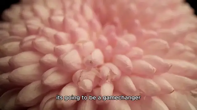 Video thumbnail for Cauliflower steak recipe