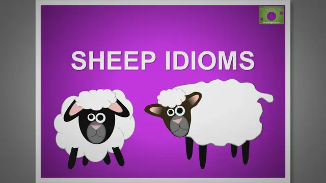 Video thumbnail for Sheep Idioms and Expressions: Understanding Common English Phrases