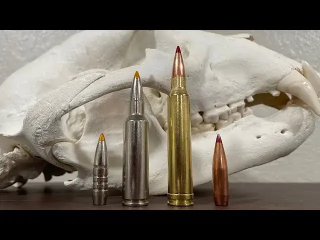 'Video thumbnail for 300 WSM vs 300 Win Mag Comparison'
