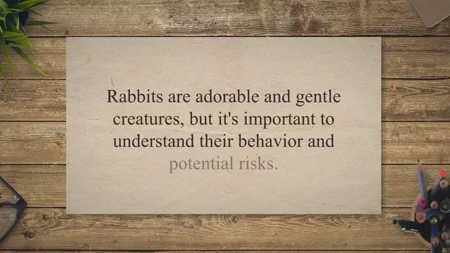 Video thumbnail for Do Rabbits Bite? Tips for Handling