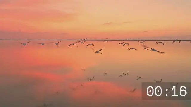 Video thumbnail for Tudo que você consome tem um processo antes