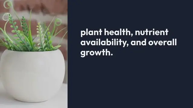 Video thumbnail for Indoor Gardening Choosing the Right Grow Medium