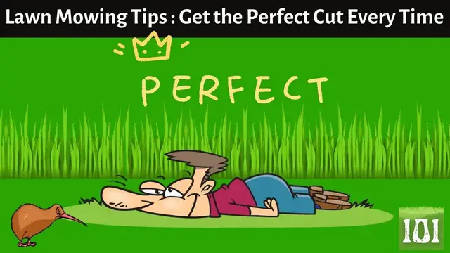 Video thumbnail for Lawn Mowing Tips for Beginners  How to Get the Perfect Cut Every Time