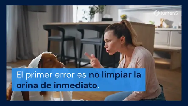 Video thumbnail for Aquí le mostramos cómo limpiar la orina de perro de la alfombra (y 3 errores que debe evitar)