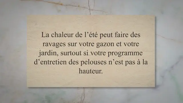 'Video thumbnail for Comment entretenir son gazon en été ?'