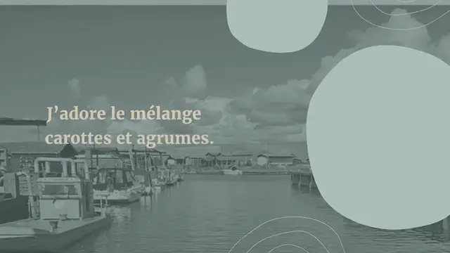 Video thumbnail for Sauté de veau aux carottes, aux agrumes et aux olives